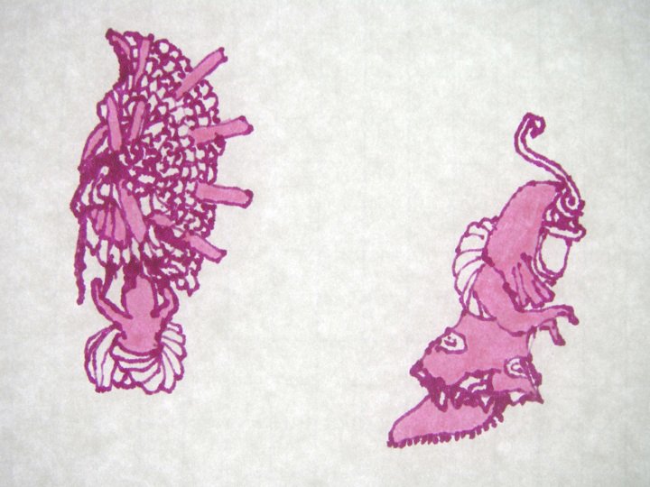 Drawing by Bill Beso